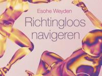 cover Richtingloos navigeren - Esohe Weyden